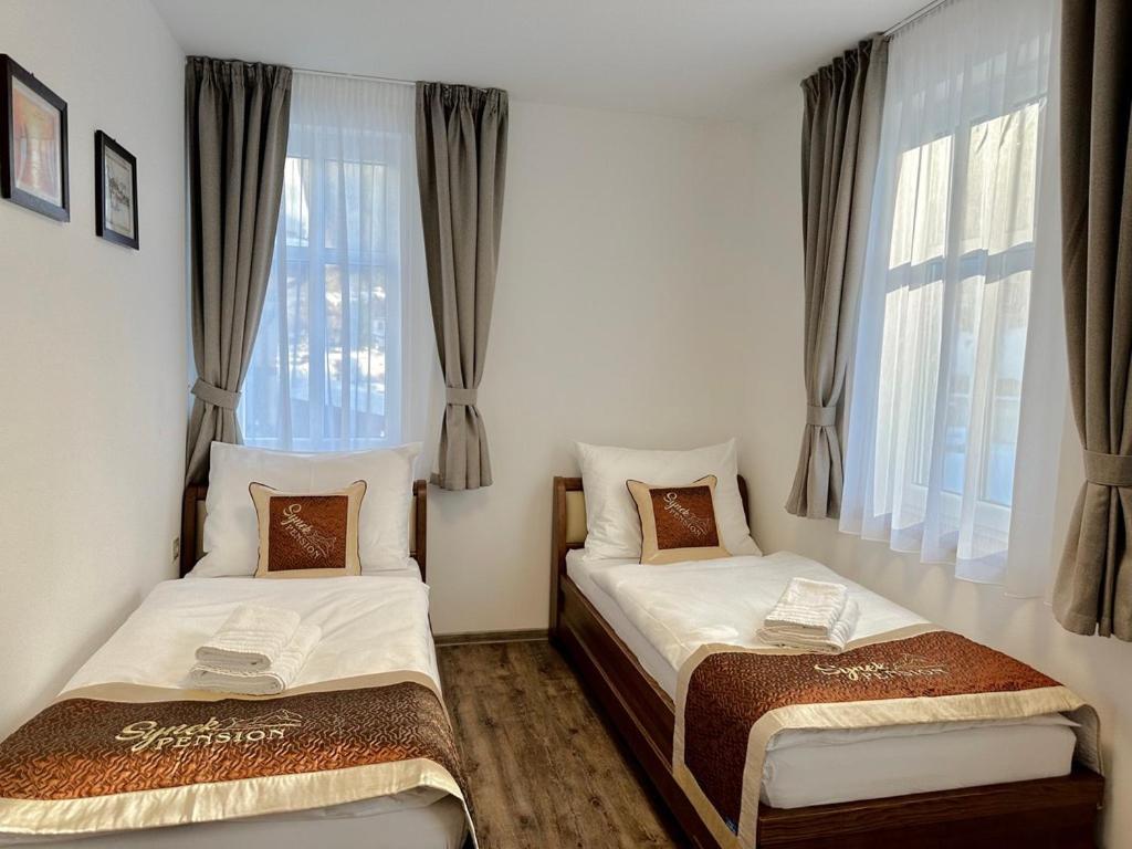 Synek Pension Špindlerŭv Mlýn Exterior foto